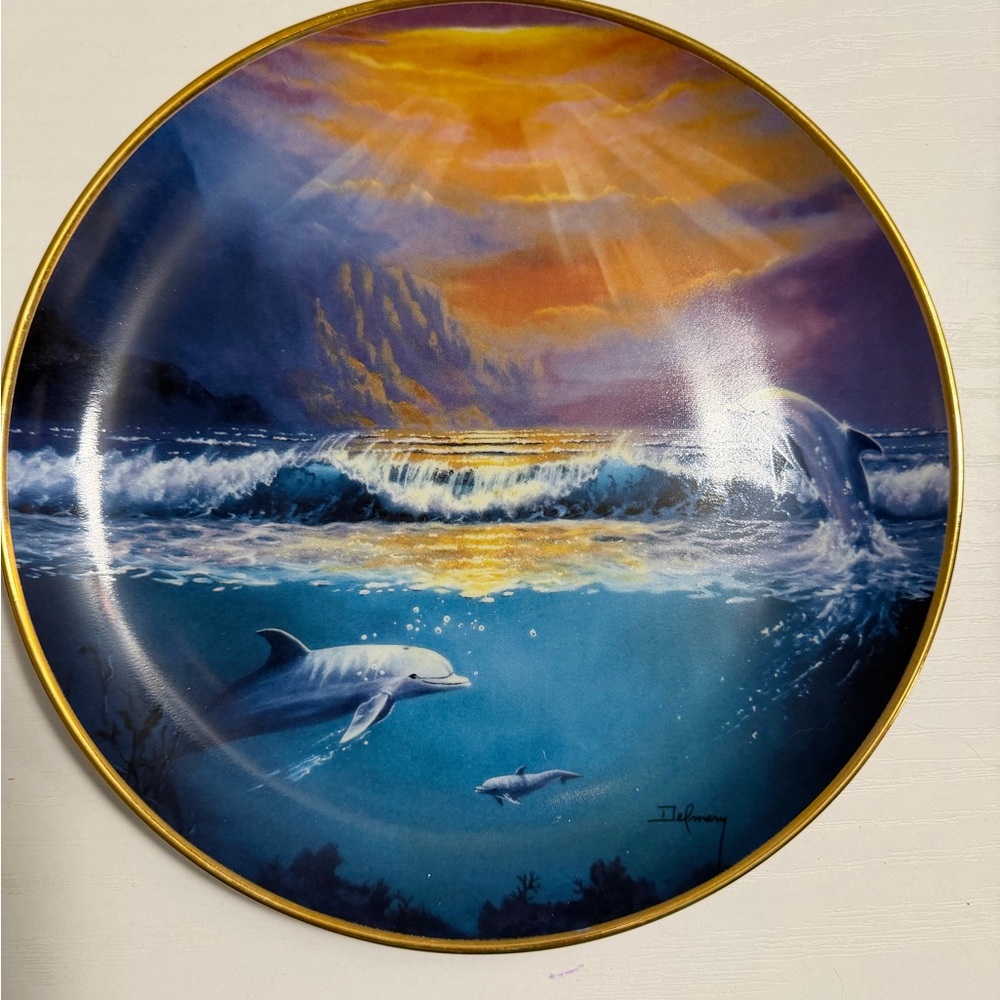 Dawn of the Dolphin